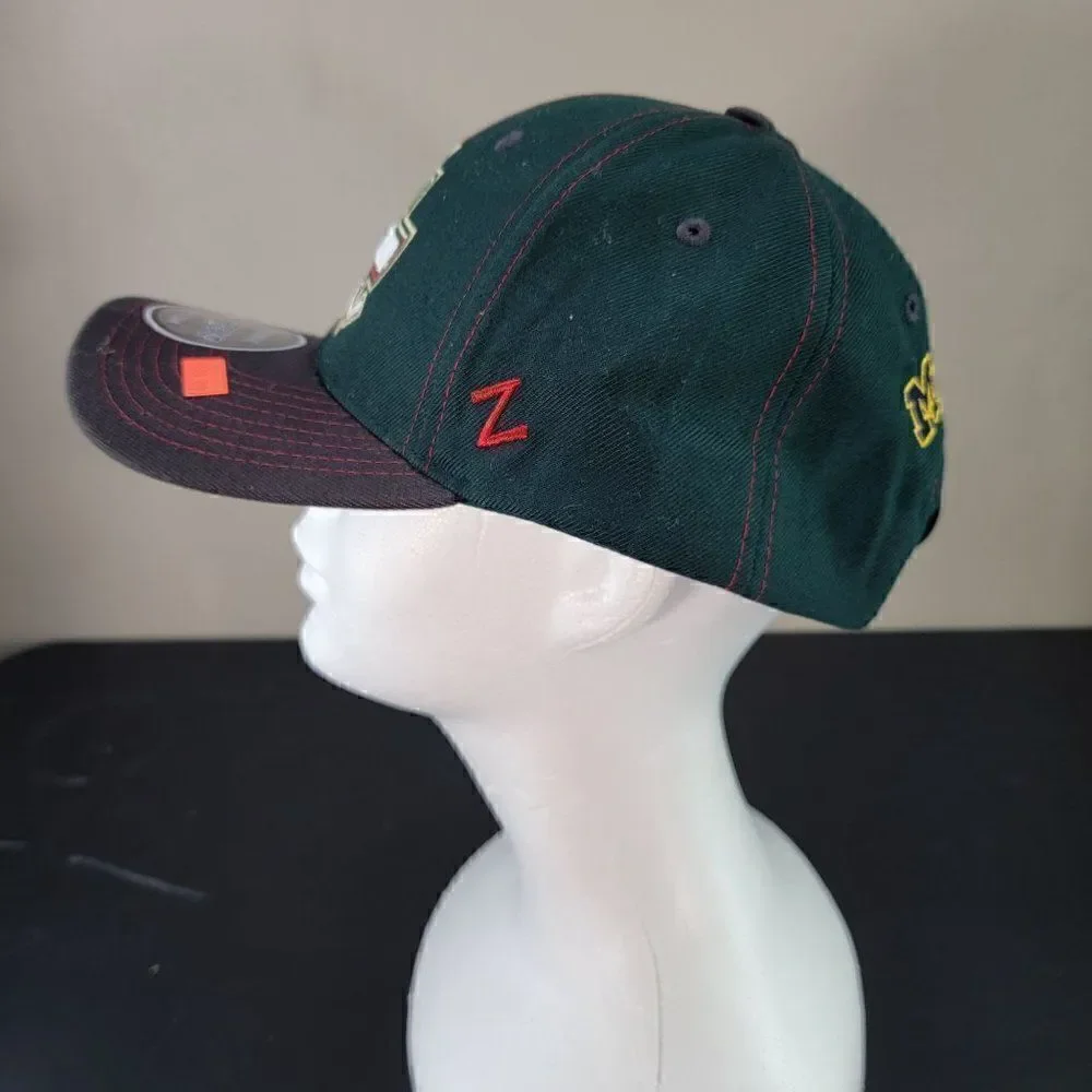 Frozen Four 2018 Green Snapback Hat by Zephyr